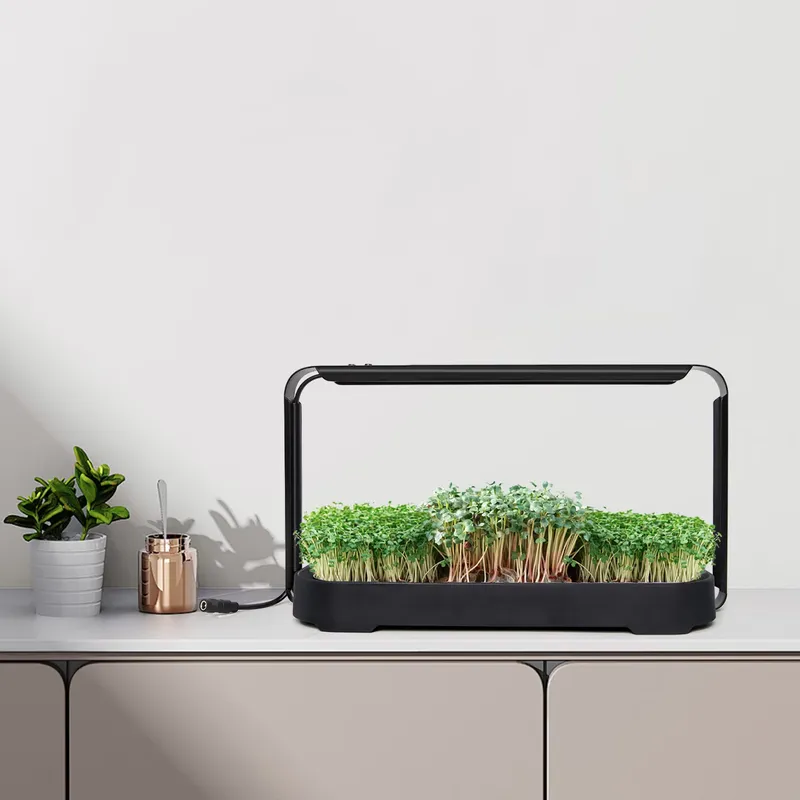 Self-Watering Planter - نظام زراعة ميكروجرينز هيدروبوني ذاتي الري