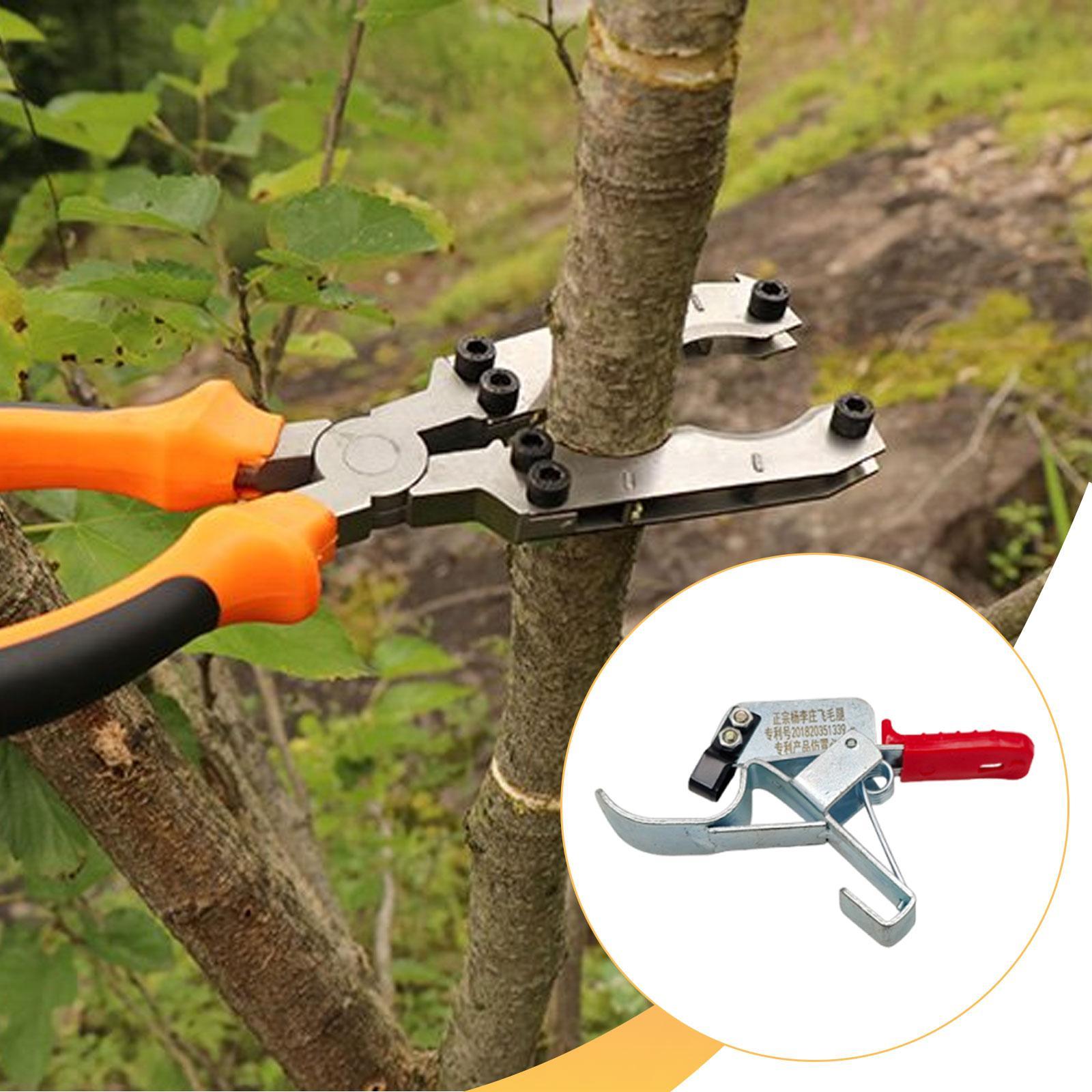 أداة تثبيت جذوع أشجار الفاكهة، - مراجعة Gardening Tools Essential وسعره