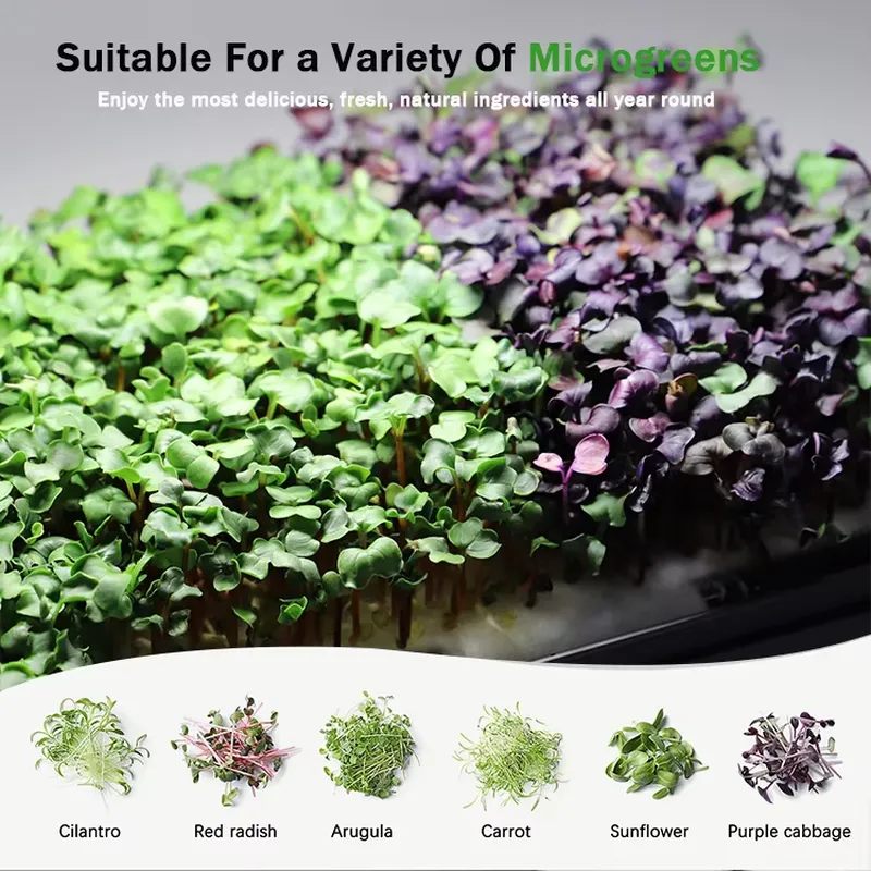 نظام زراعة ميكروجرينز هيدروبون - مراجعة Self-Watering Planter وسعره