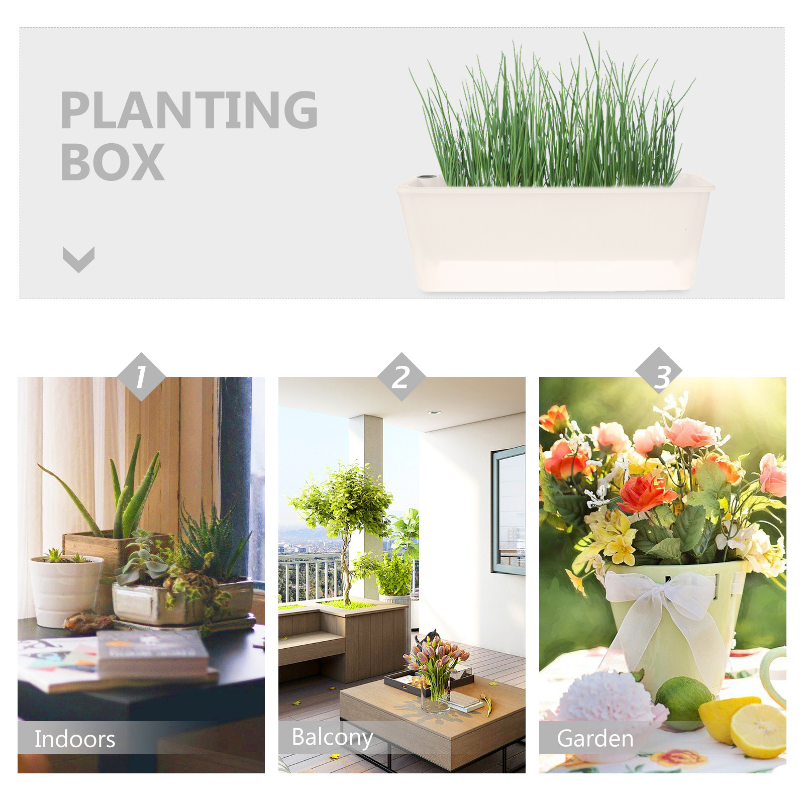 صندوق زراعة مستطيل طويل من الب - مراجعة Self-Watering Planter وسعره