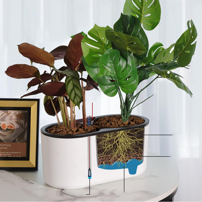 نبات داخلي مع مؤشر خشبي الساق  - مراجعة Automatic Plant Waterer وسعره